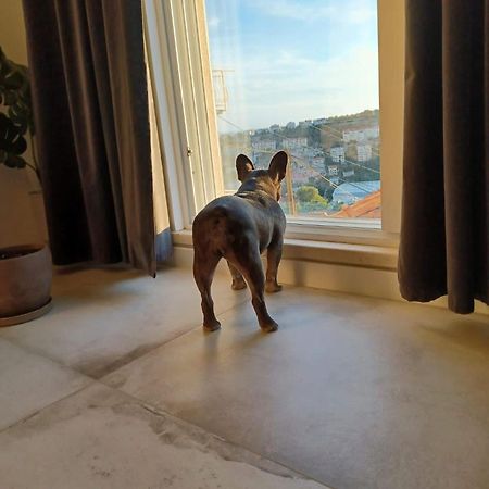 Apartment Eni 杜布罗夫尼克 外观 照片
