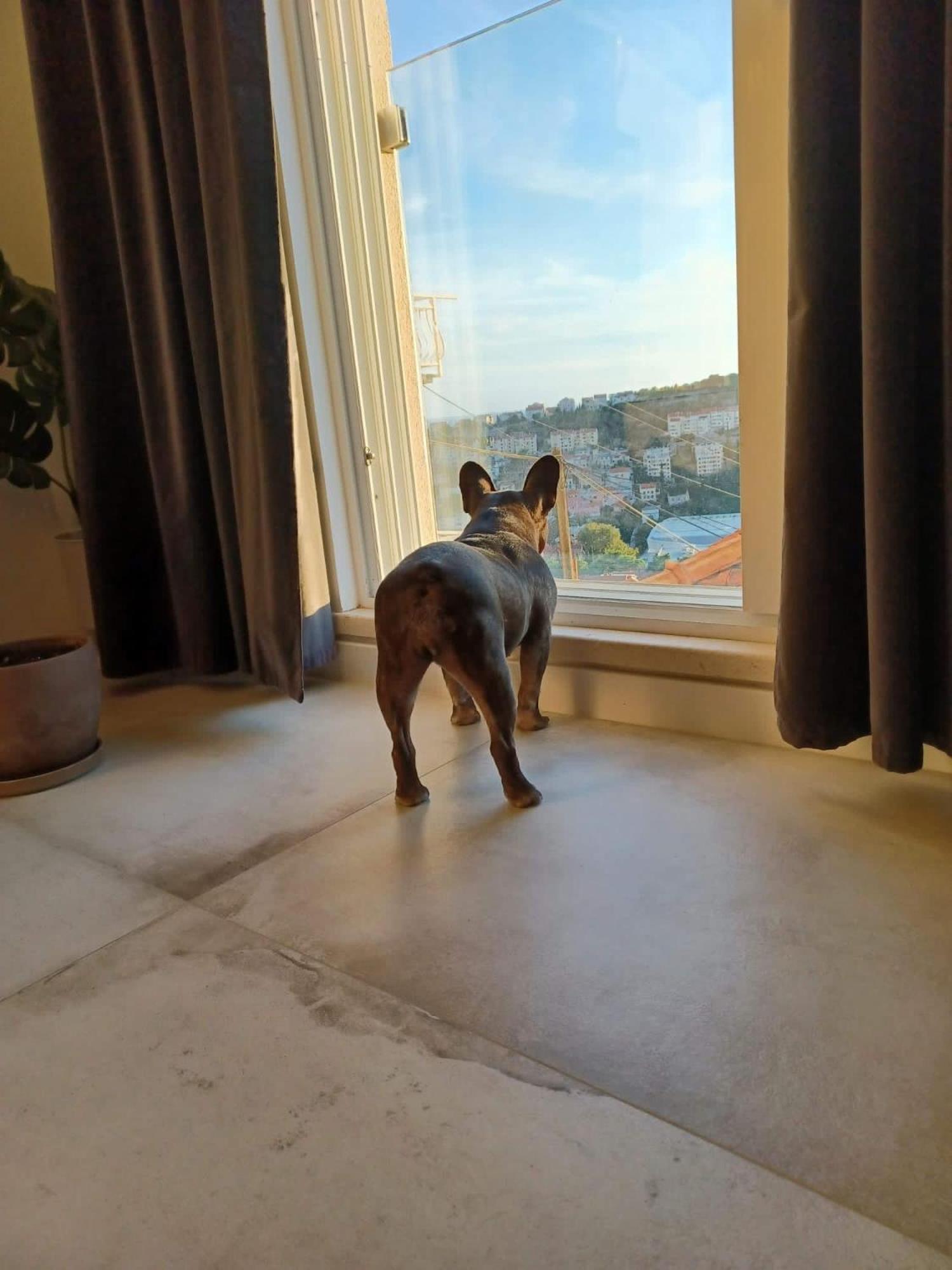Apartment Eni 杜布罗夫尼克 外观 照片